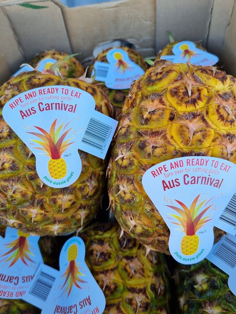 Pineapple_Topless_LRG_No_Acid_each_available_at_The_Prickly_Pineapple