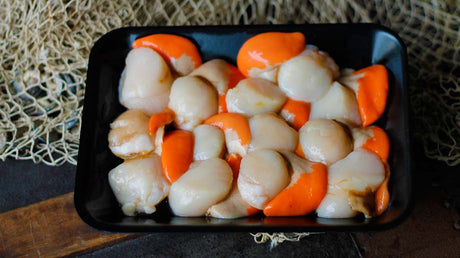 Scallop Meat 500g bag (TAS) available at The Prickly Pineapple