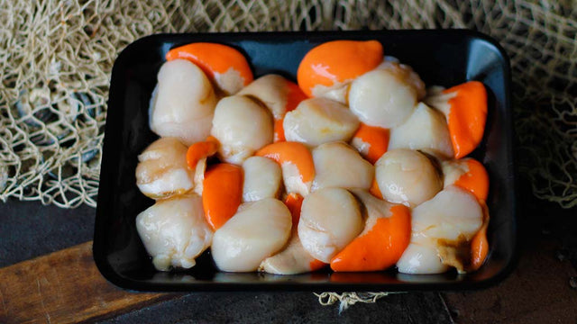 Scallop Meat 500g bag (TAS) available at The Prickly Pineapple