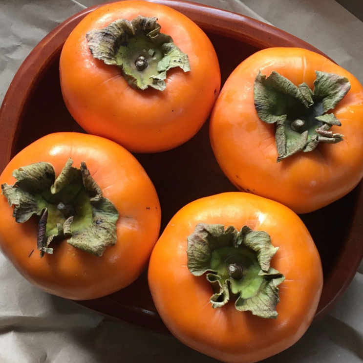 Persimmon Sweet each available at The Prickly Pineapple