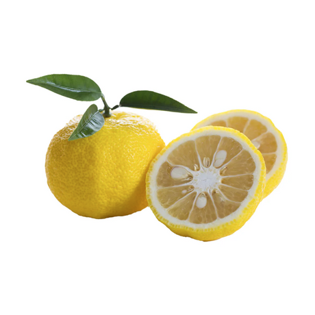 Yuzu citrus fruit each available at The Prickly Pineapple