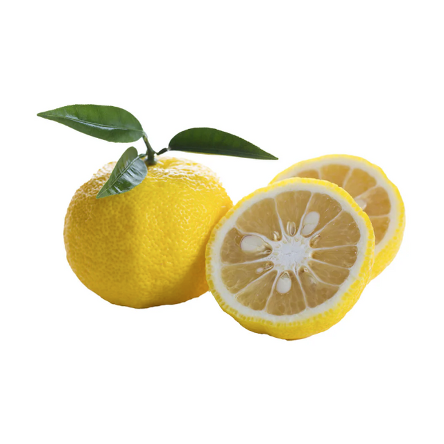 Yuzu citrus fruit each available at The Prickly Pineapple