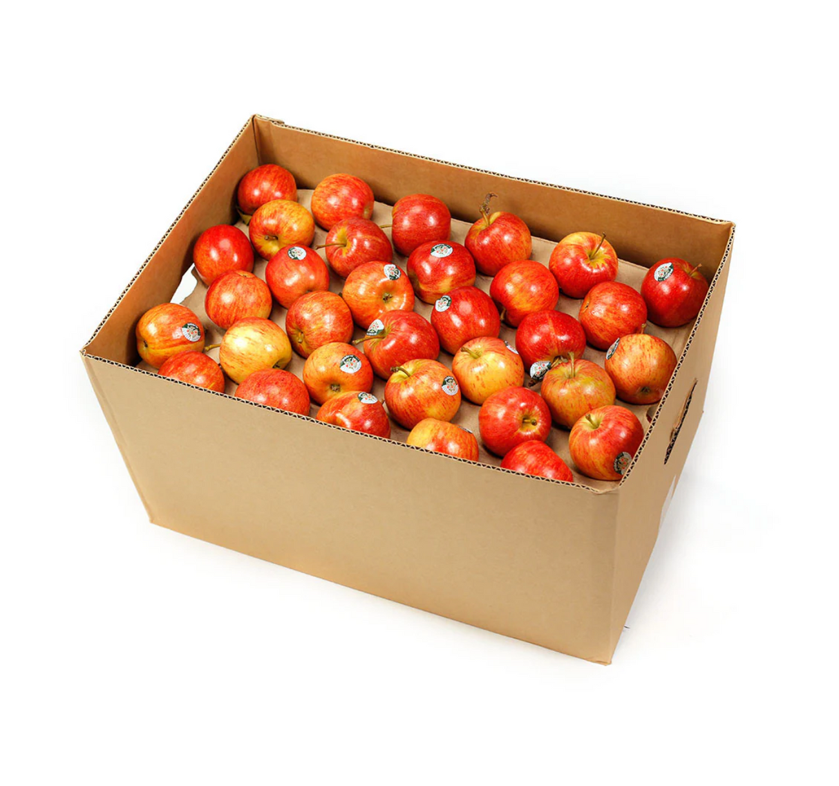 Apples Gala Small carton 18kg