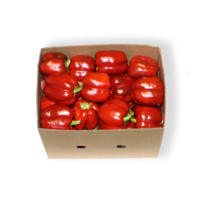 Capsicums 8kg Red carton