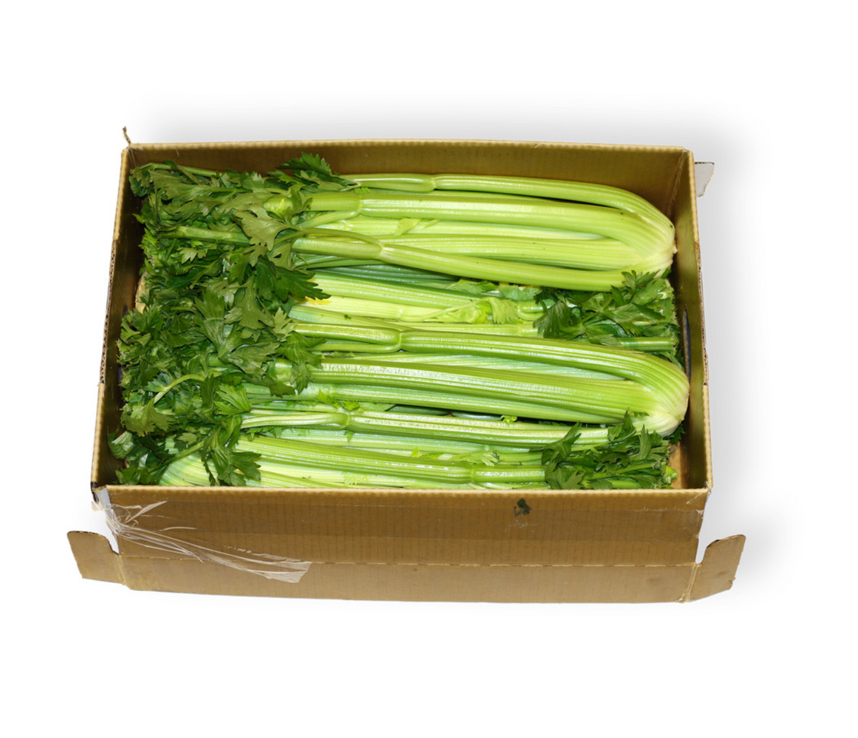 Celery carton