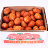 Tomatoes Roma 10kg carton available at The Prickly Pineapple