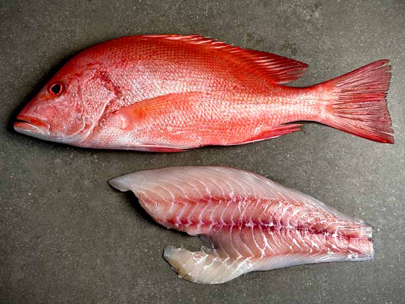 Whitsunday Wide Mouth Nannygai (Reef Fish) per kg available at The Prickly Pineapple