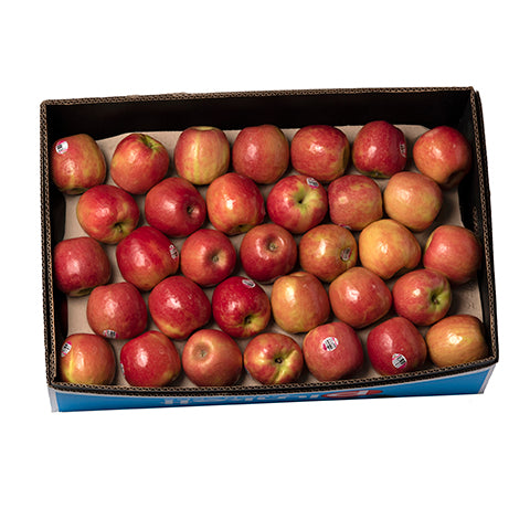 Apples Pink Lady Large carton 12kg