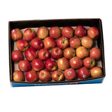 Apples Pink Lady Large carton 12kg