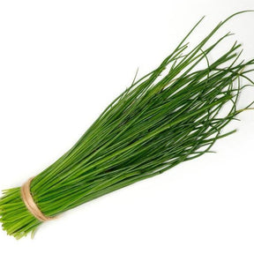 Herb Chives available at The Prickly Pineapple