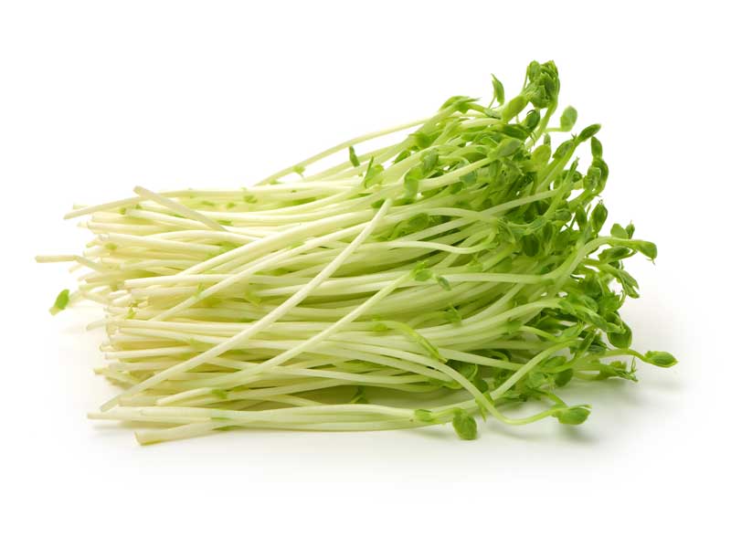 Pea Sprouts 100g available at The Prickly Pineapple