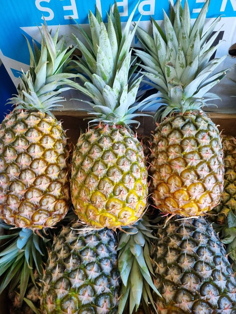 Pineapple Smooth Leaf each