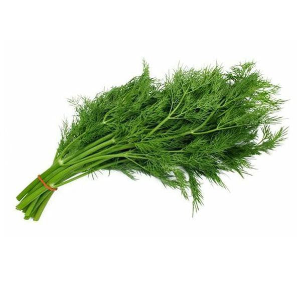 Fresh Dill Bunch at The Prickly Pineapple