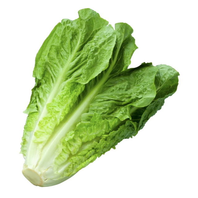 Organic Lettuce Cos each available at The Prickly Pineapple