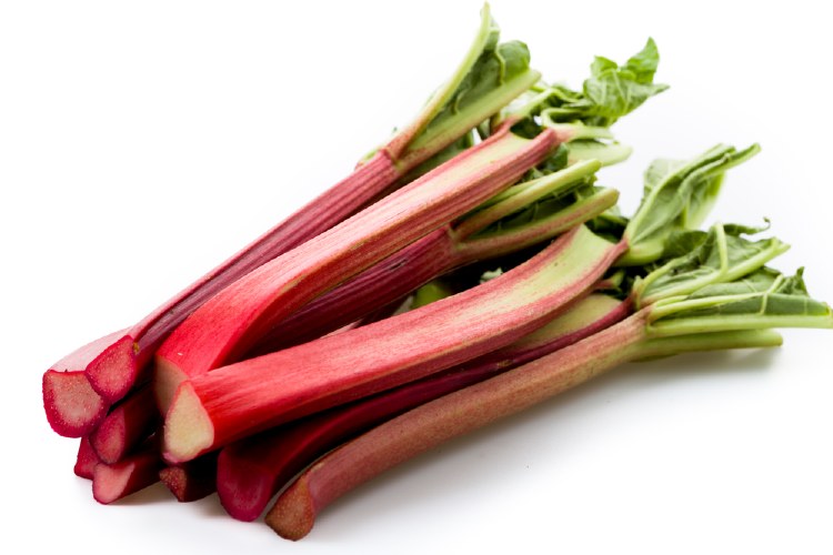 Organic Rhubarb bunch available at The Prickly Pineapple