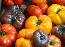 Tomatoes Heirloom per kg available at The Prickly Pineapple