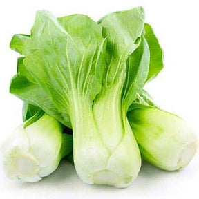 Organic Pak Choy each available at The Prickly Pineapple