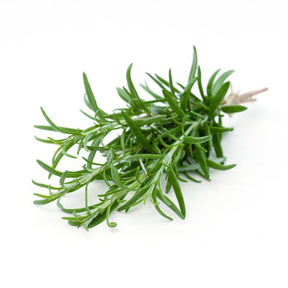 Rosemary Herb at The Prickly Pineapple